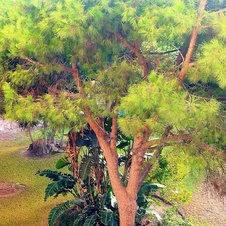 Precioso Estudio Con Piscina A 200m Del Mar *