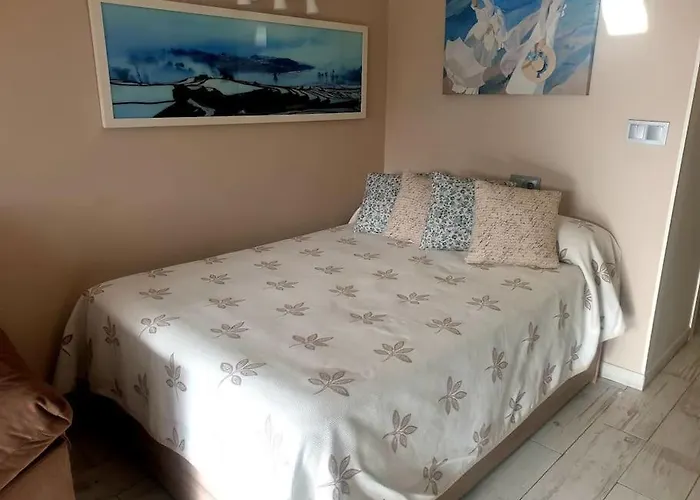 Precioso Estudio Con Piscina A 200m Del Mar