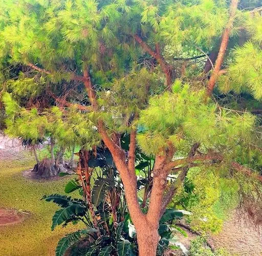 Precioso Estudio Con Piscina A 200m Del Mar *